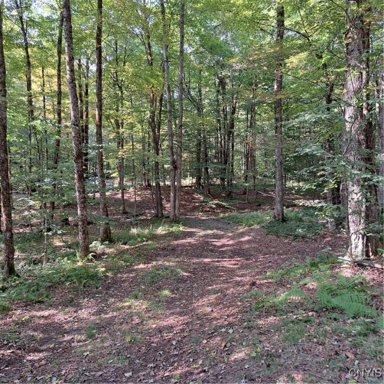 0 Sullivan Road Taberg, NY 13471 - Photo 23 of 24