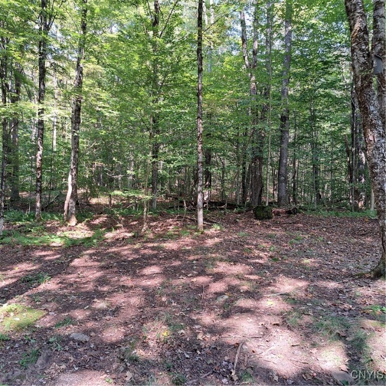 0 Sullivan Road Taberg, NY 13471 - Photo 6 of 24 Dirt driveway leading into the Camp.