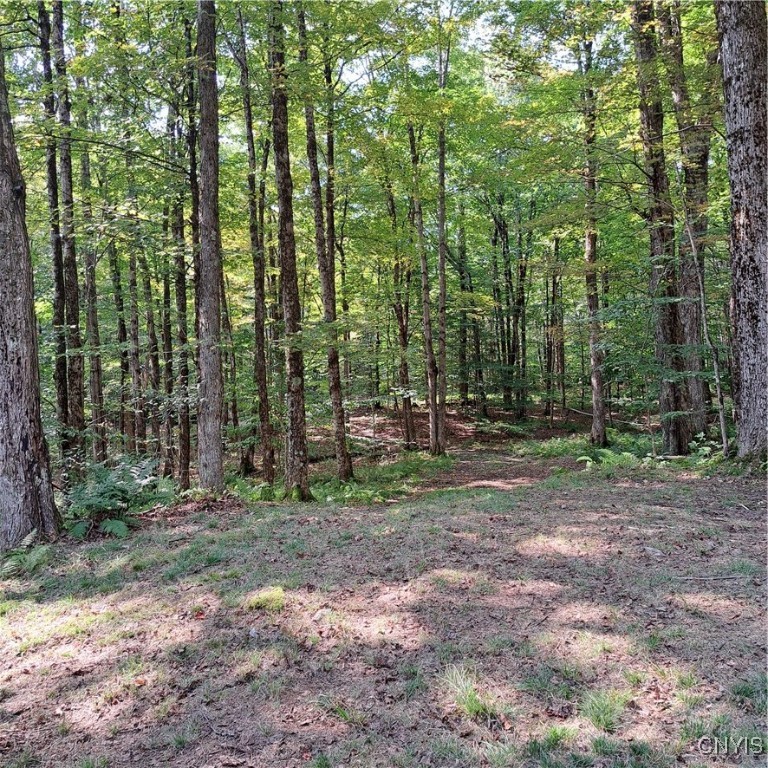 0 Sullivan Road Taberg, NY 13471 - Photo 7 of 24