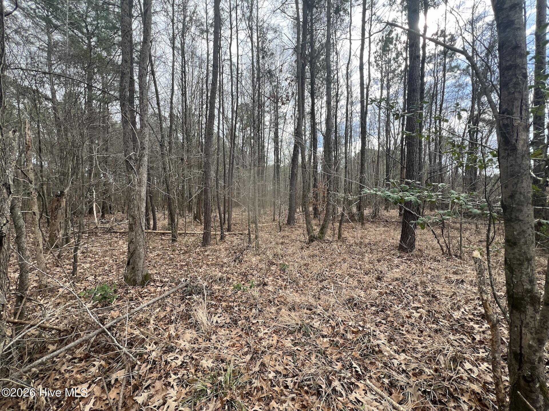 405 Batts Island Road Edenton, NC 27932 - Photo 11 of 43 13