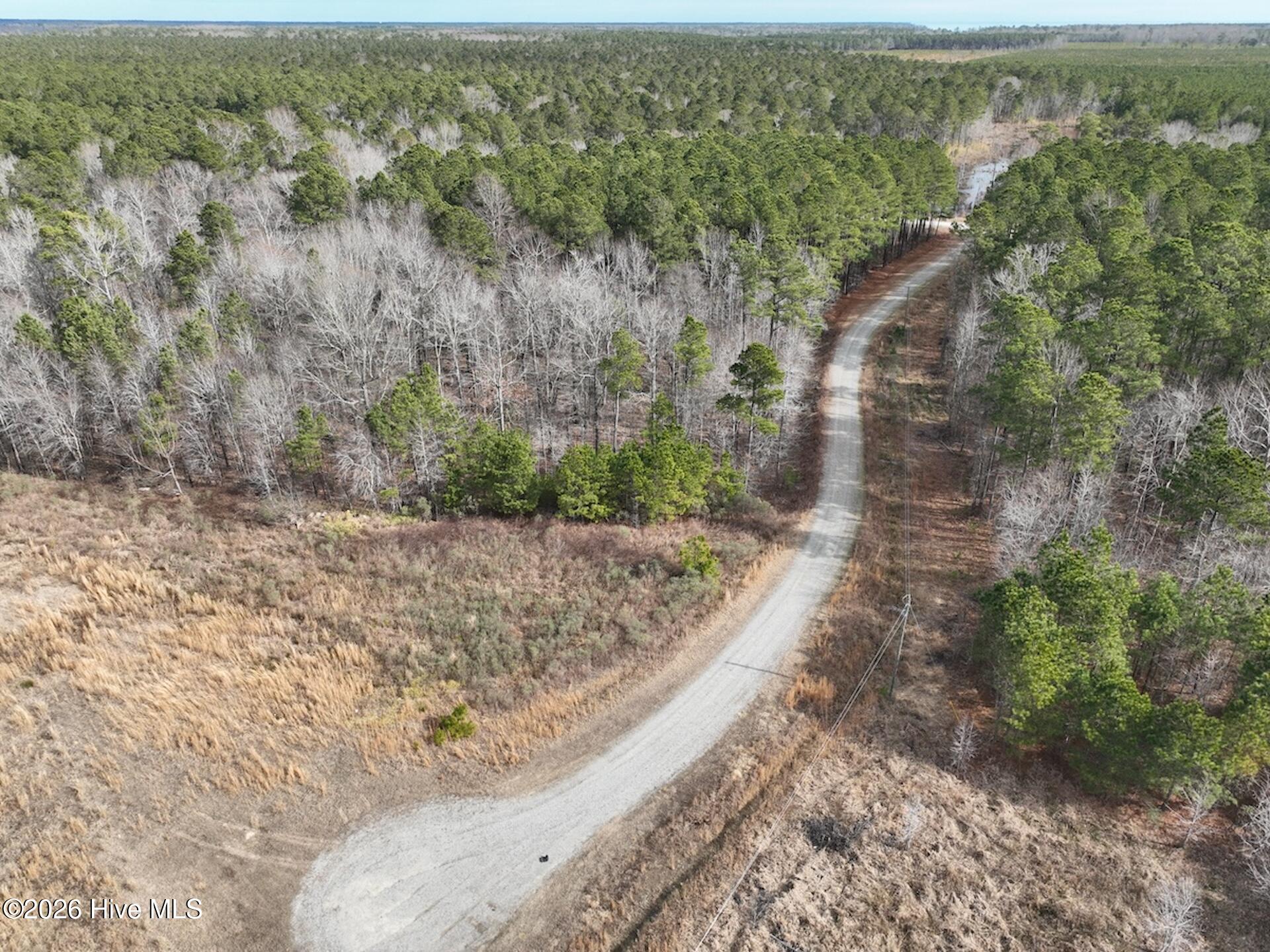 405 Batts Island Road Edenton, NC 27932 - Photo 13 of 43 DJI_0166