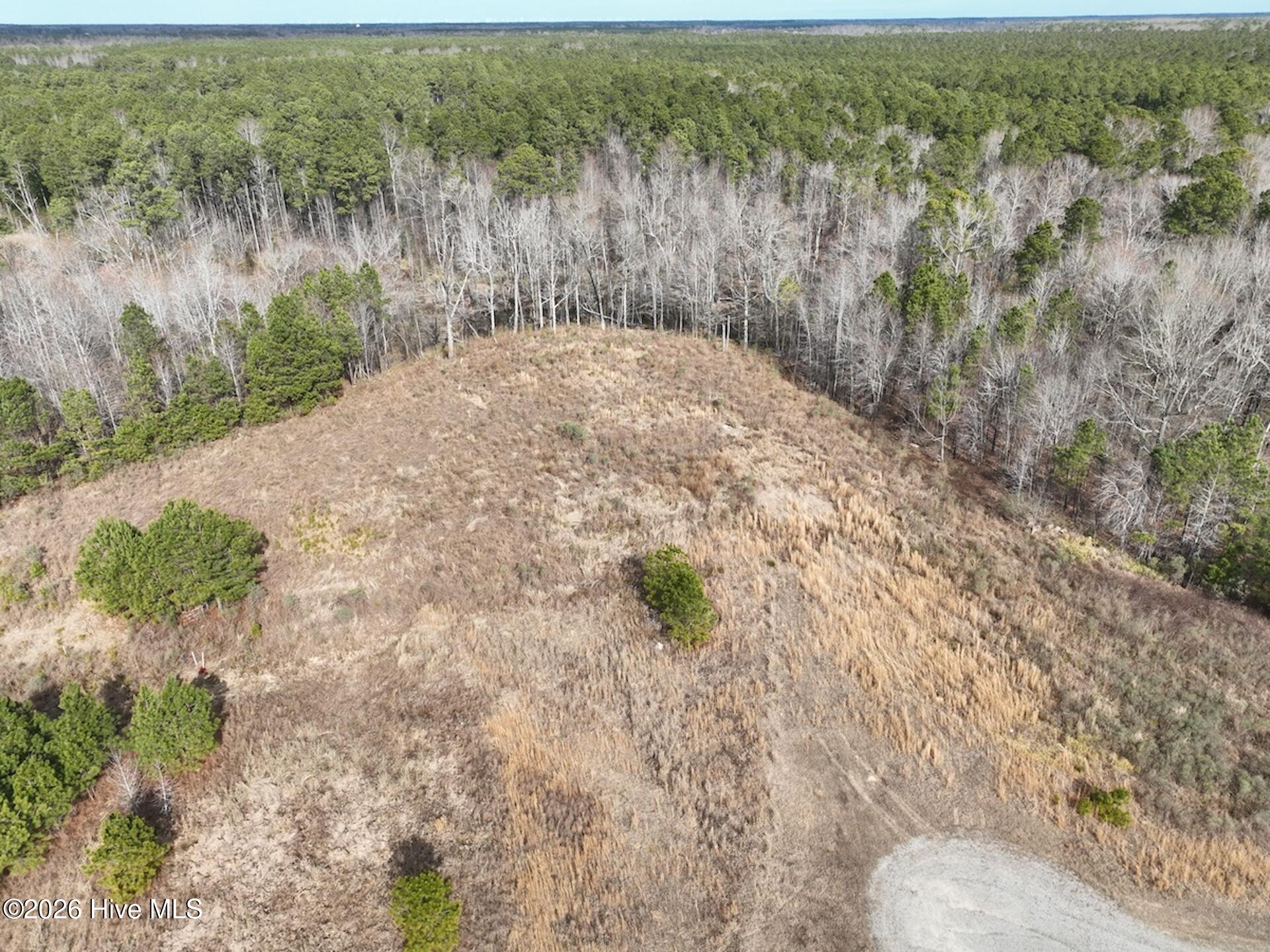 405 Batts Island Road Edenton, NC 27932 - Photo 16 of 43 8