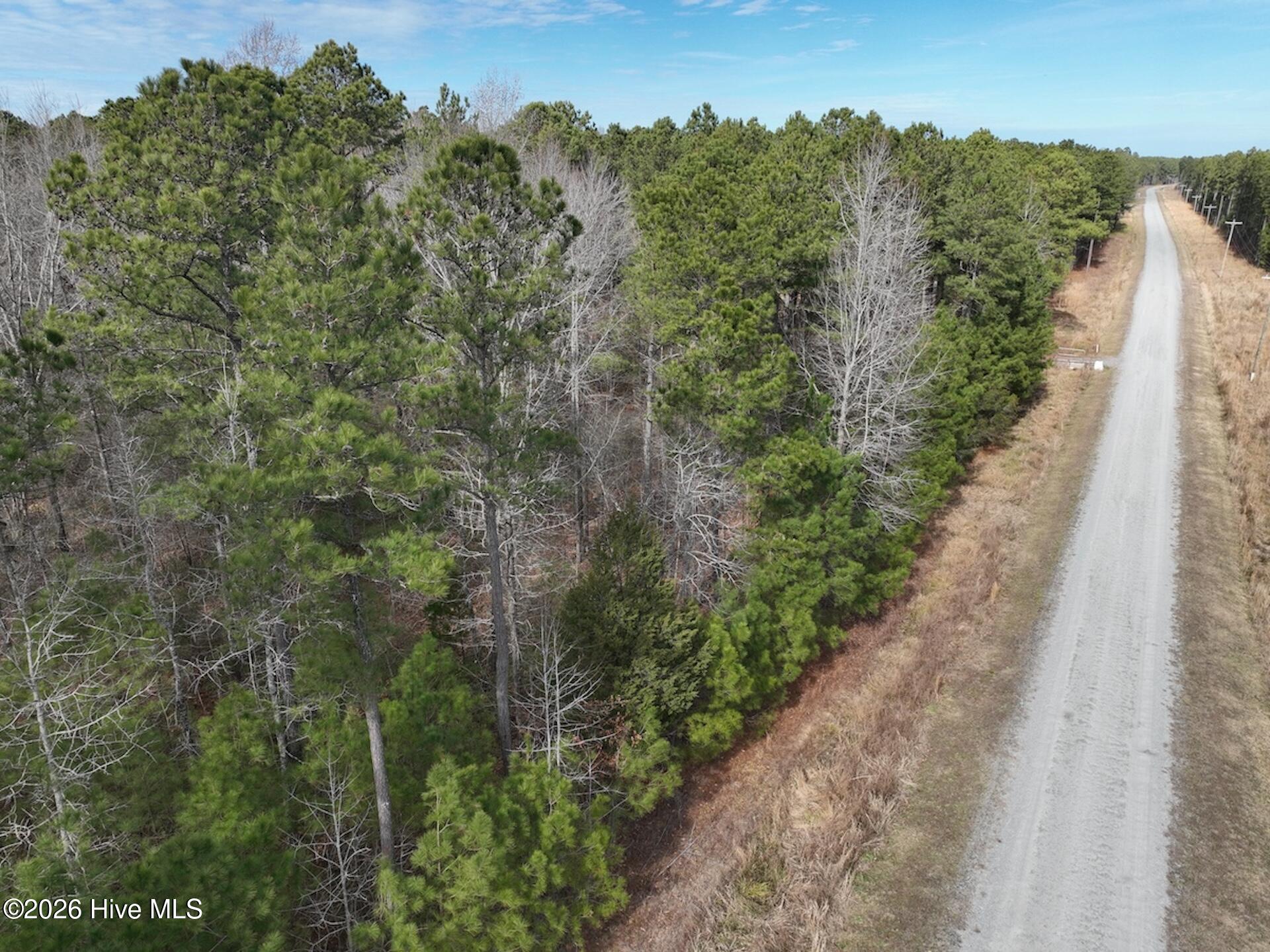 405 Batts Island Road Edenton, NC 27932 - Photo 20 of 43 10