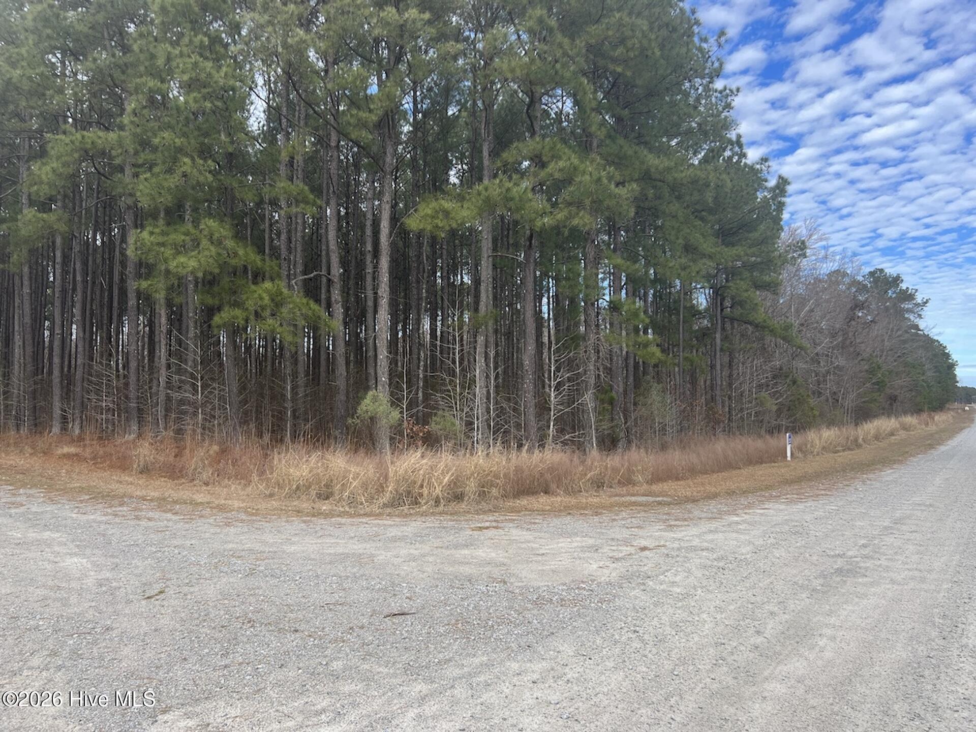 405 Batts Island Road Edenton, NC 27932 - Photo 23 of 43 12