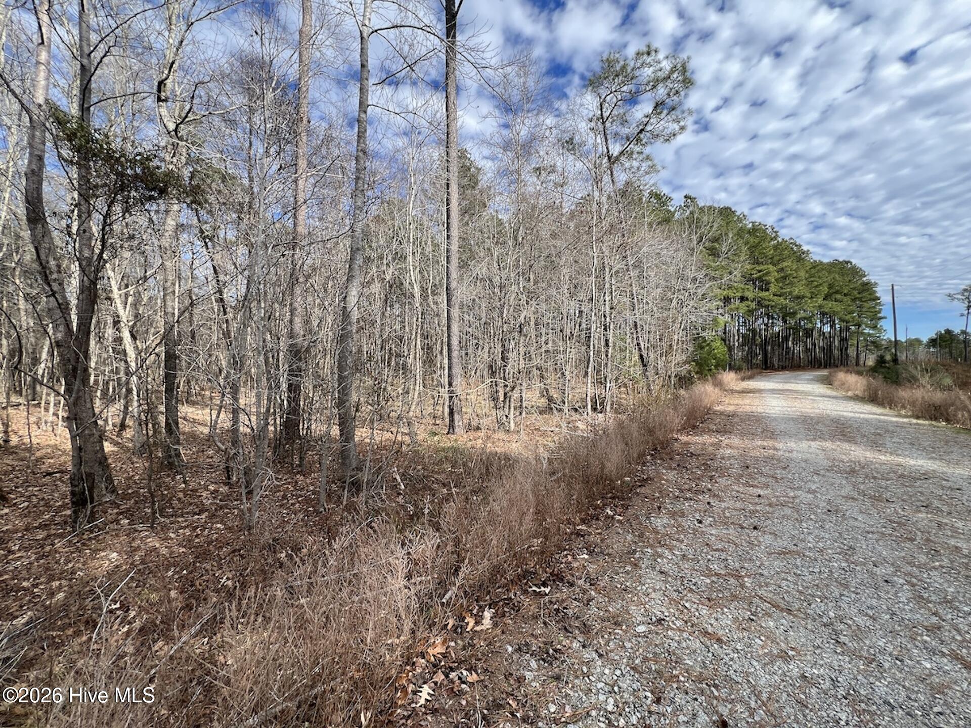 405 Batts Island Road Edenton, NC 27932 - Photo 26 of 43 16