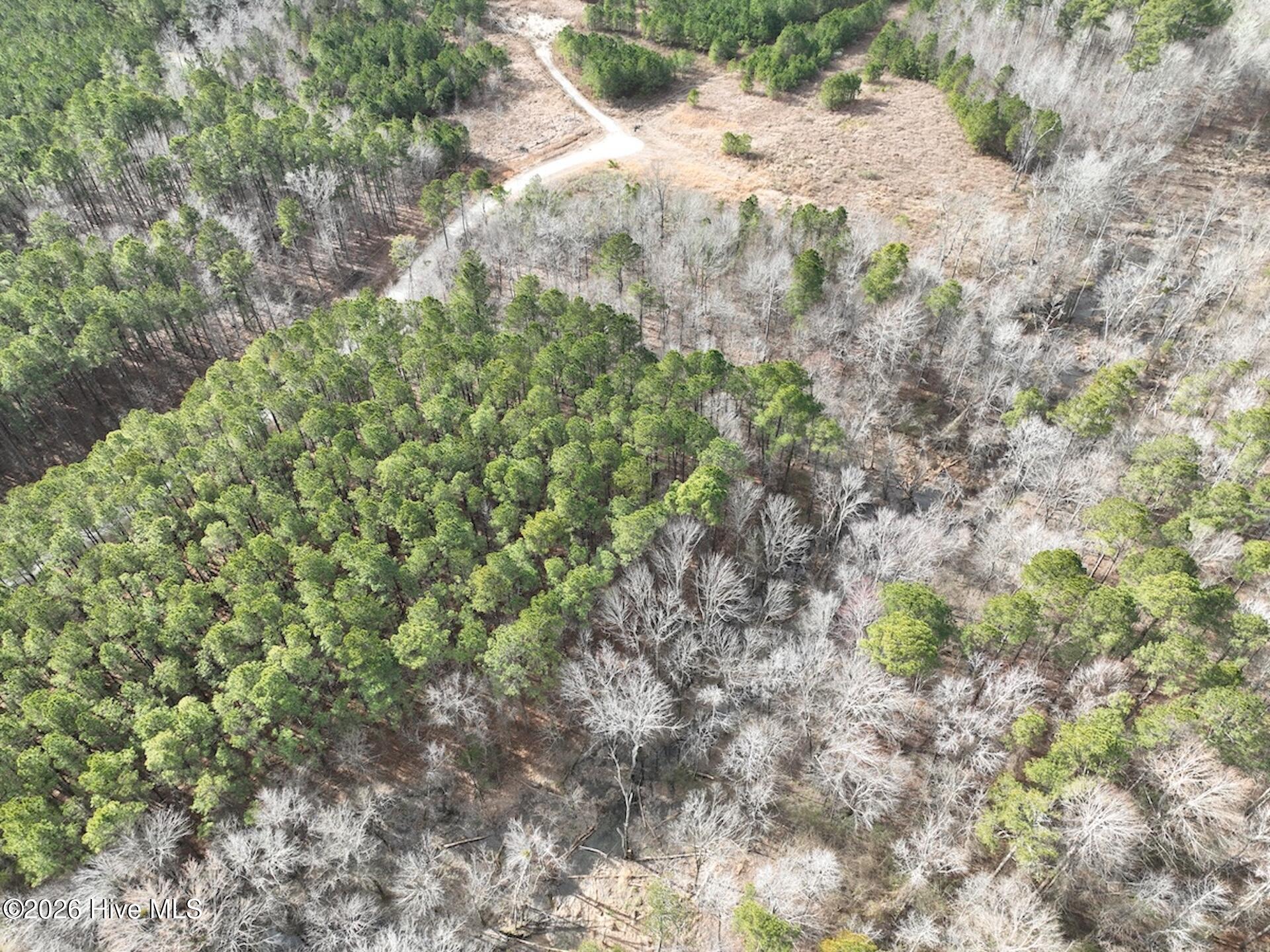 405 Batts Island Road Edenton, NC 27932 - Photo 29 of 43 DJI_0168