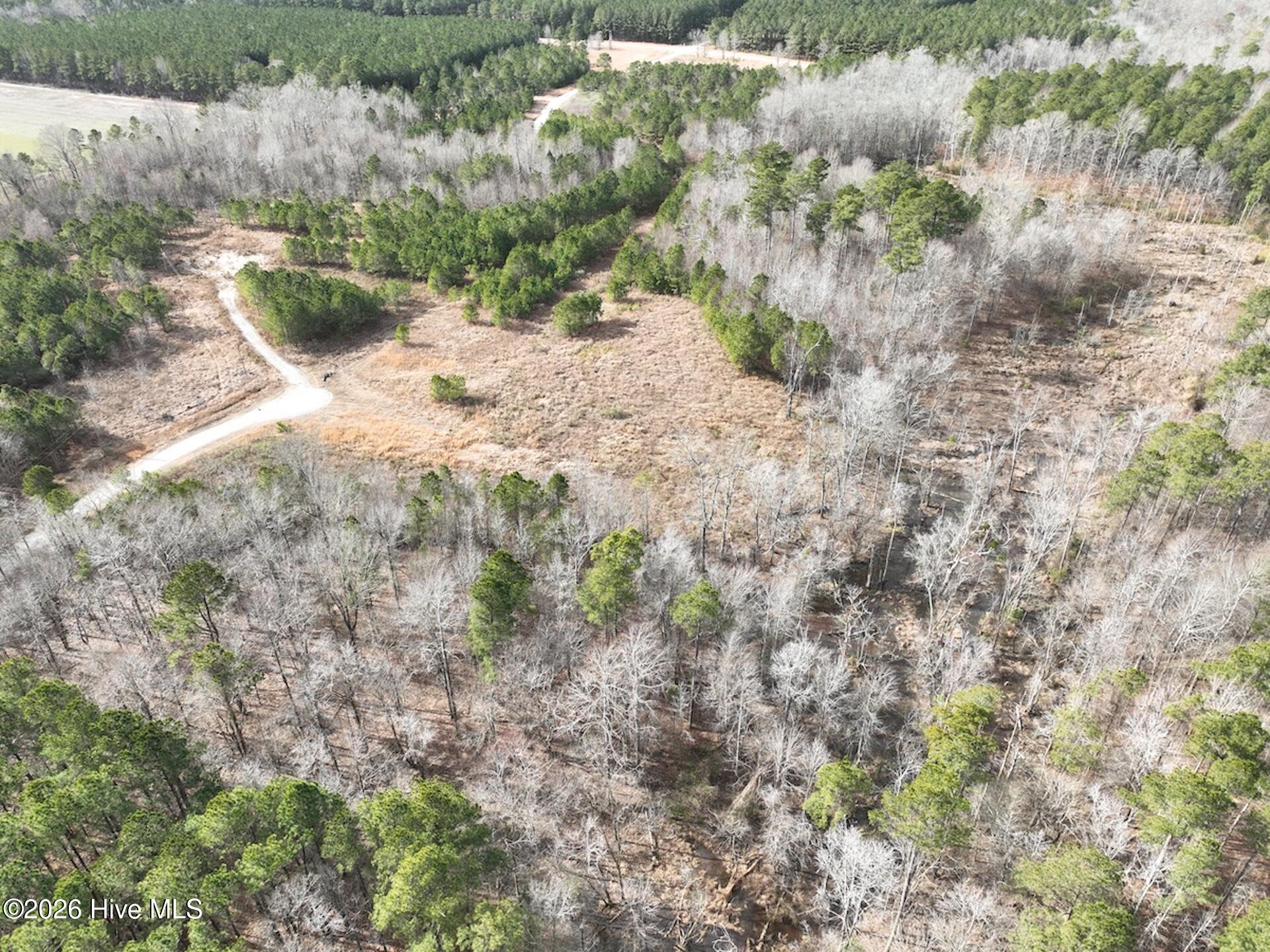 405 Batts Island Road Edenton, NC 27932 - Photo 3 of 43 3