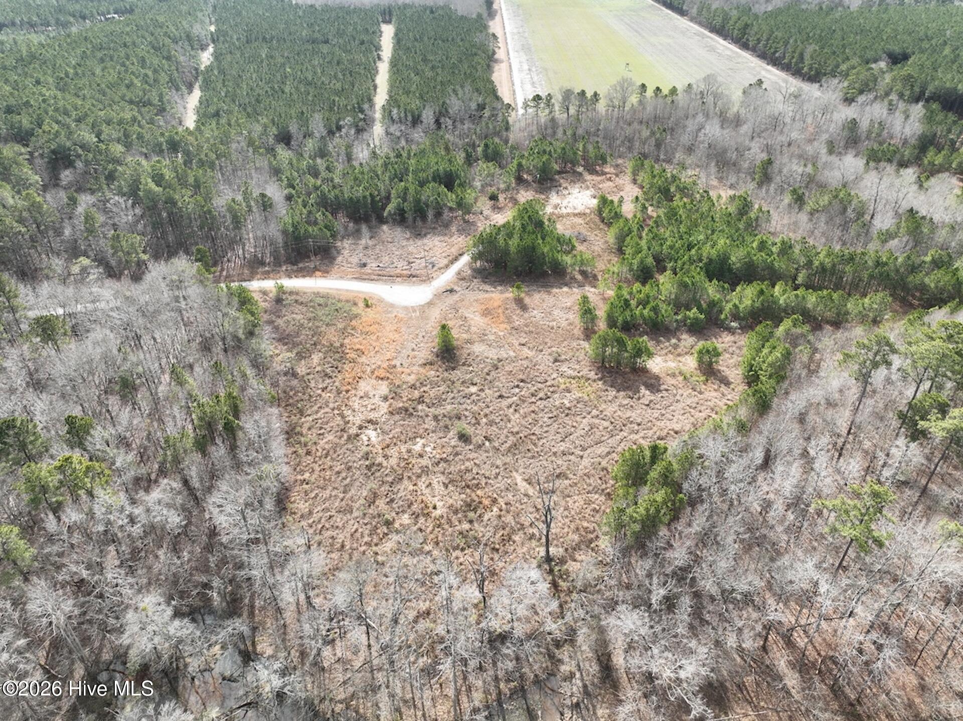 405 Batts Island Road Edenton, NC 27932 - Photo 31 of 43 DJI_0162