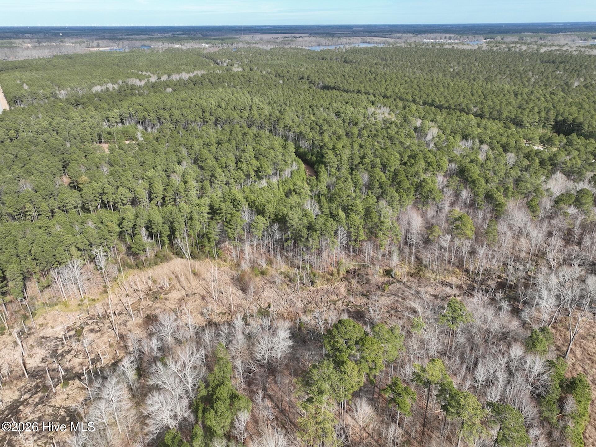 405 Batts Island Road Edenton, NC 27932 - Photo 32 of 43 DJI_0154