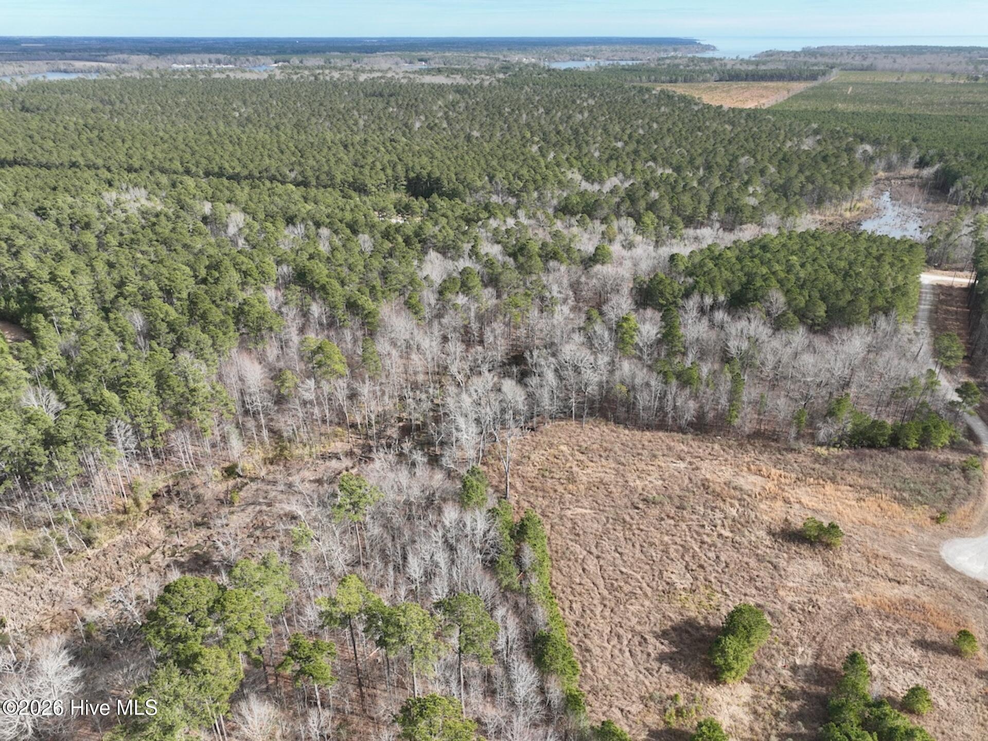 405 Batts Island Road Edenton, NC 27932 - Photo 34 of 43 DJI_0150