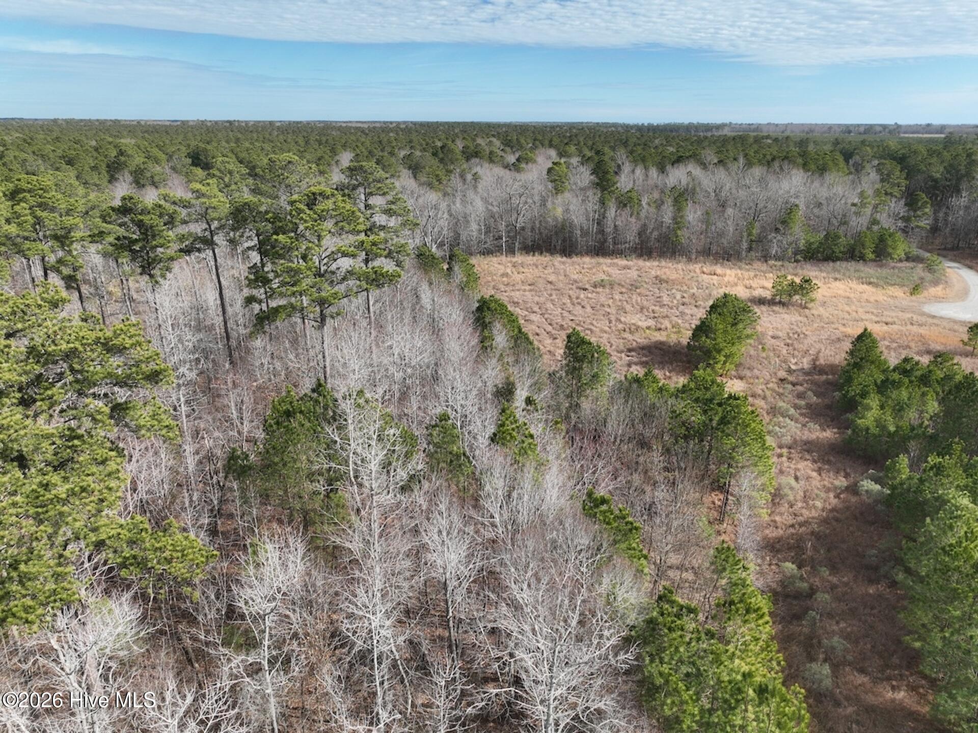 405 Batts Island Road Edenton, NC 27932 - Photo 35 of 43 DJI_0149