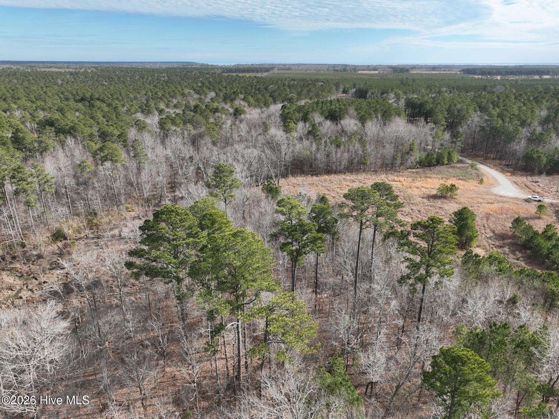 405 Batts Island Road Edenton, NC 27932 - Photo 36 of 43 DJI_0148