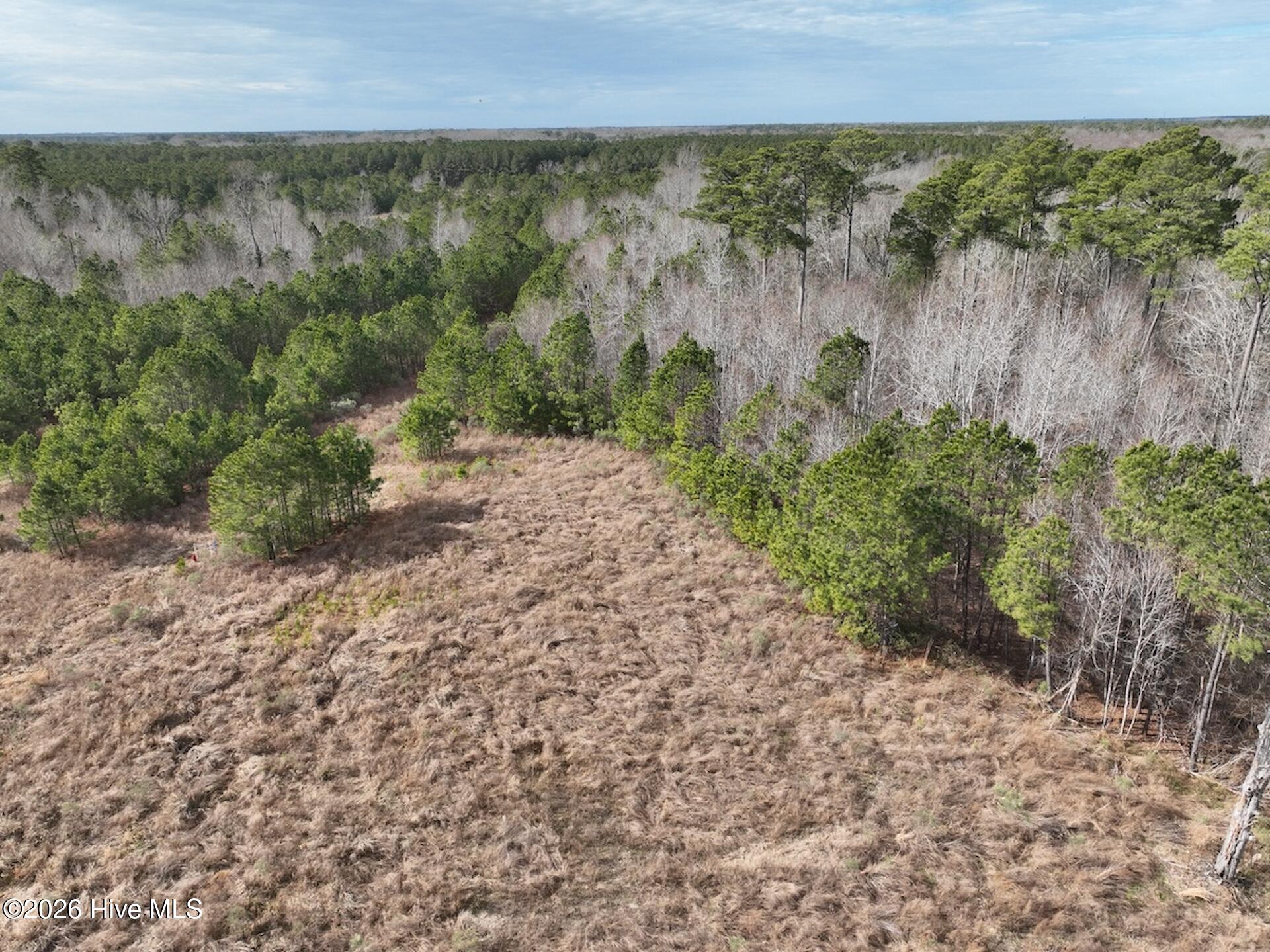 405 Batts Island Road Edenton, NC 27932 - Photo 37 of 43 DJI_0147