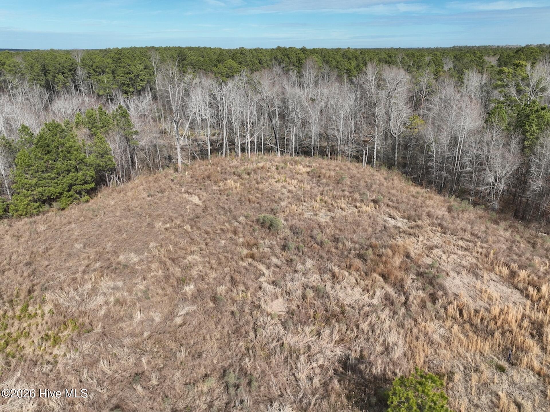 405 Batts Island Road Edenton, NC 27932 - Photo 38 of 43 DJI_0146