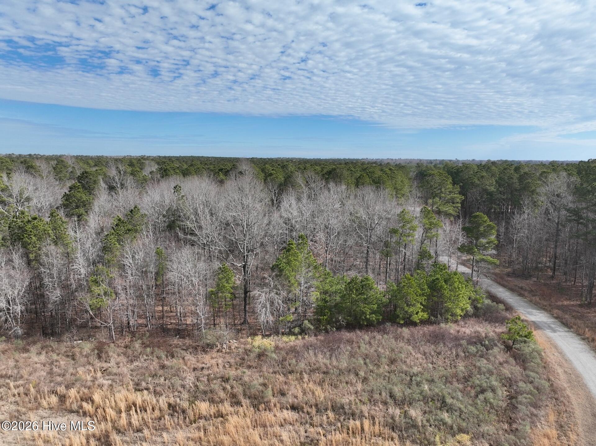 405 Batts Island Road Edenton, NC 27932 - Photo 39 of 43 DJI_0144