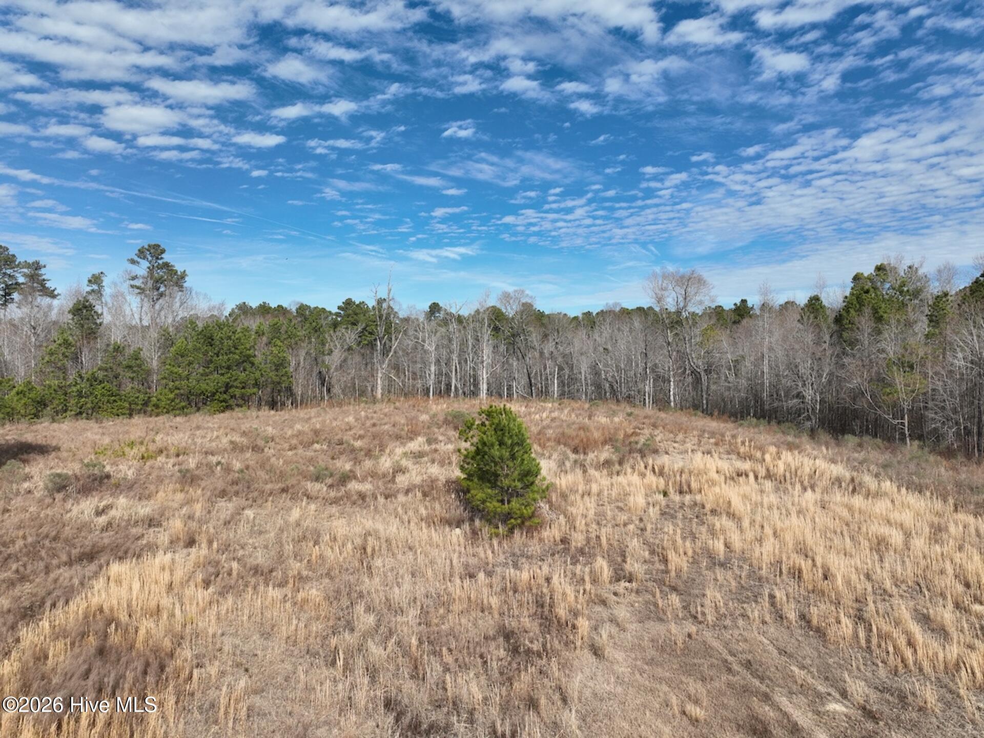 405 Batts Island Road Edenton, NC 27932 - Photo 40 of 43 DJI_0143