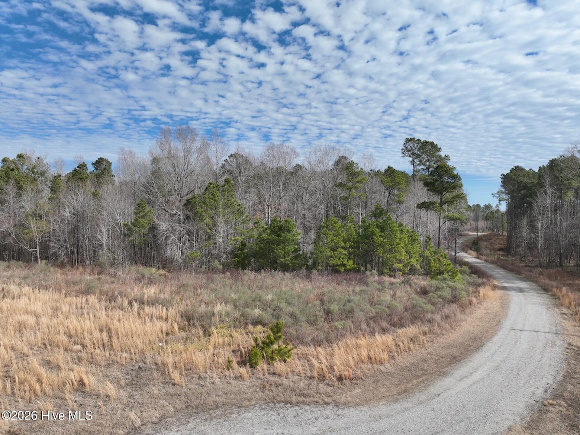 405 Batts Island Road Edenton, NC 27932 - Photo 41 of 43 DJI_0142