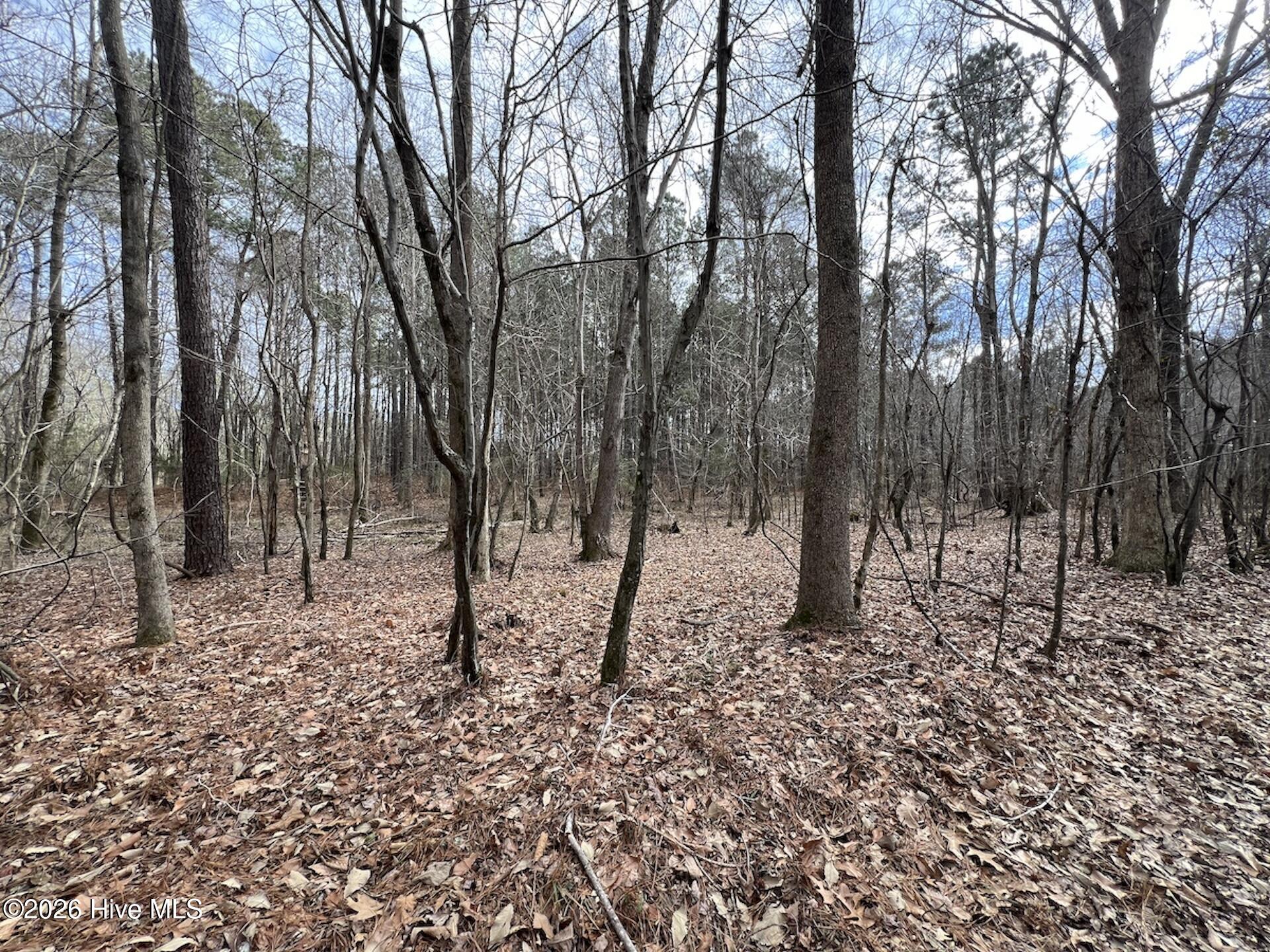 405 Batts Island Road Edenton, NC 27932 - Photo 7 of 43 14