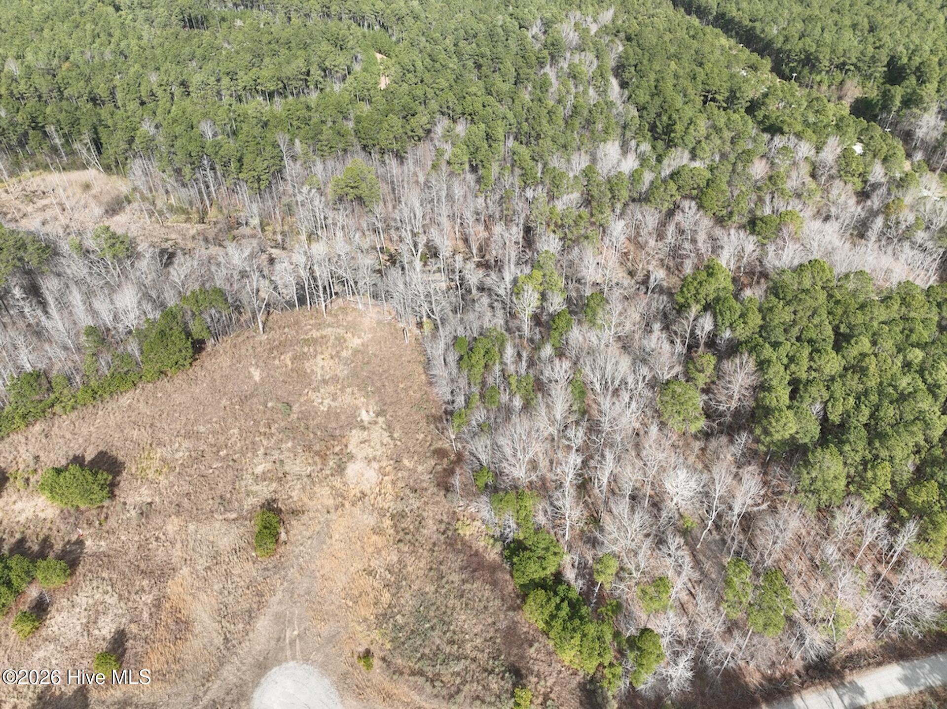 405 Batts Island Road Edenton, NC 27932 - Photo 8 of 43 5