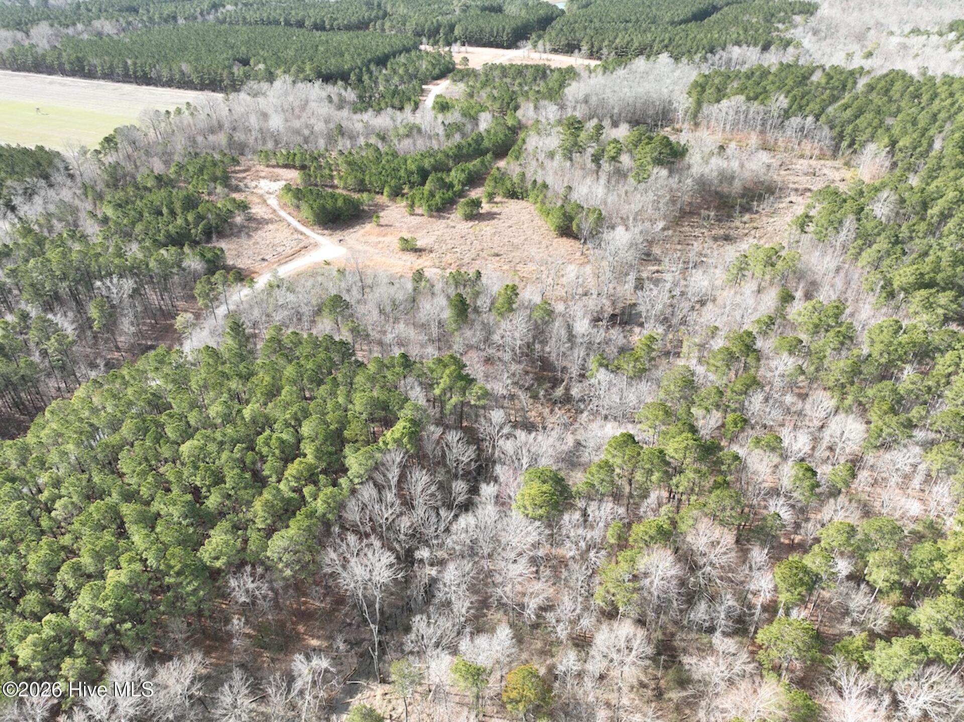 405 Batts Island Road Edenton, NC 27932 - Photo 9 of 43 6