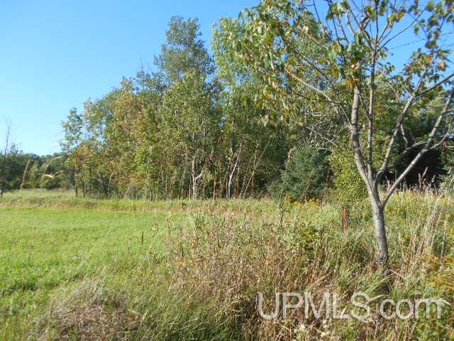 Tbd Miller Road Florence, WI 54121 - Photo 15 of 24