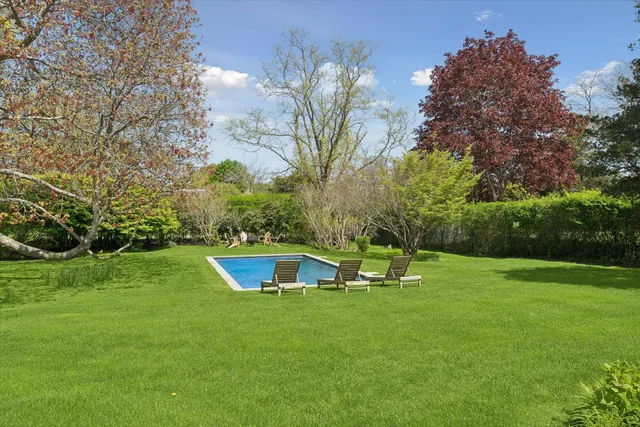 a view of a park with large trees