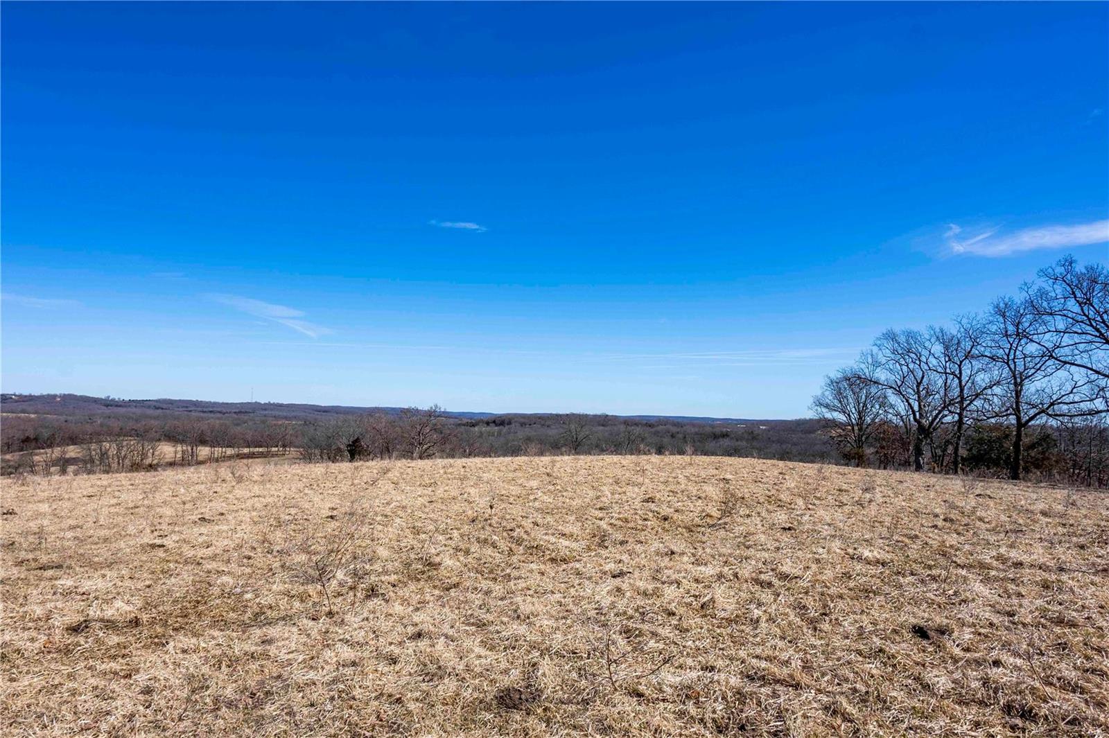 0 County Road 701 Bland, MO 65014 - Photo 15 of 52