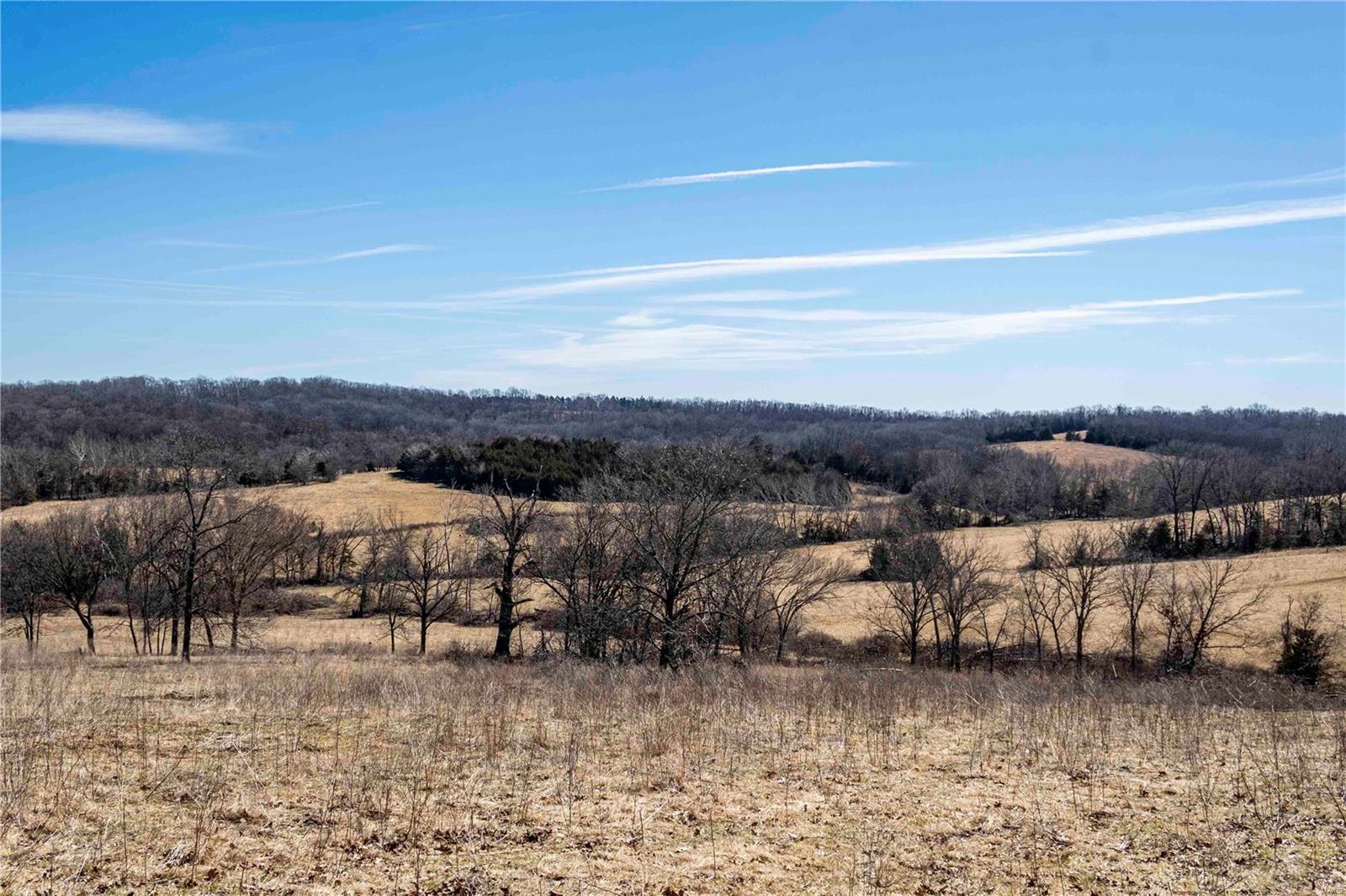 0 County Road 701 Bland, MO 65014 - Photo 16 of 52