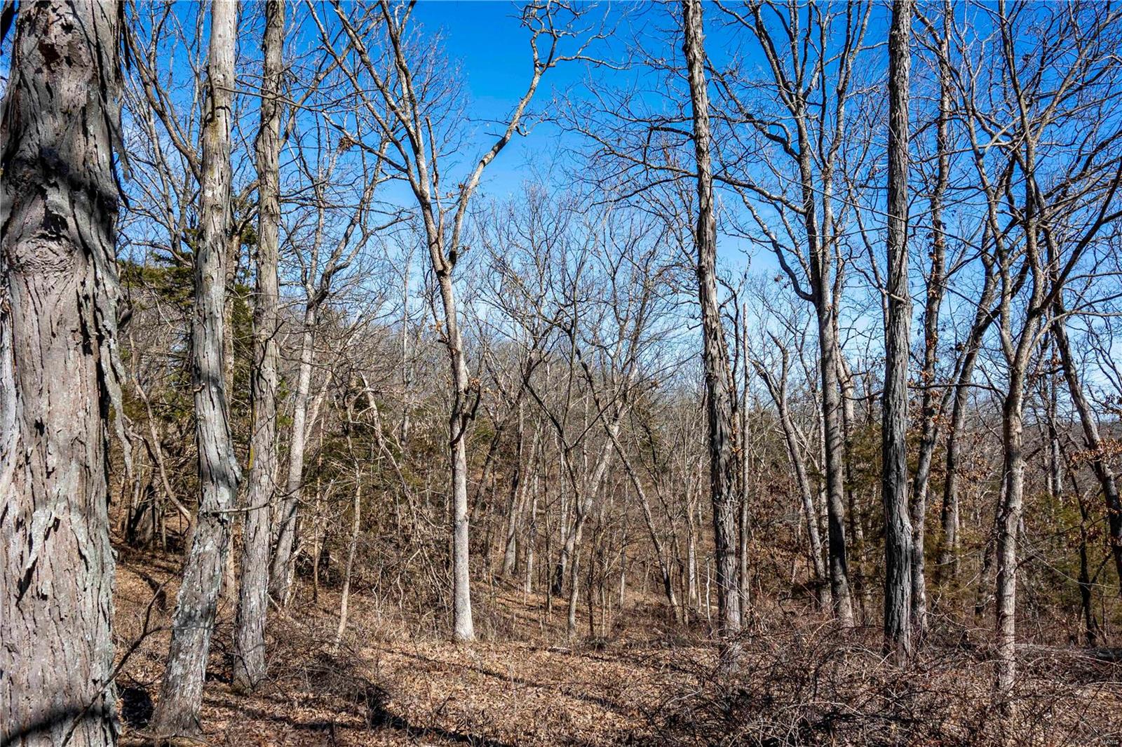 0 County Road 701 Bland, MO 65014 - Photo 35 of 52