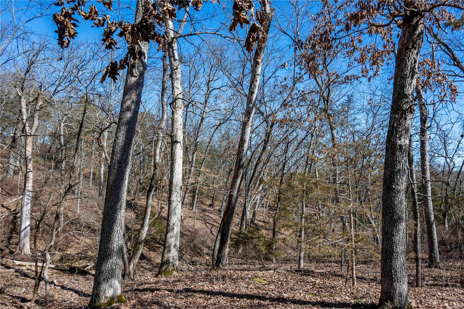 0 County Road 701 Bland, MO 65014 - Photo 36 of 52