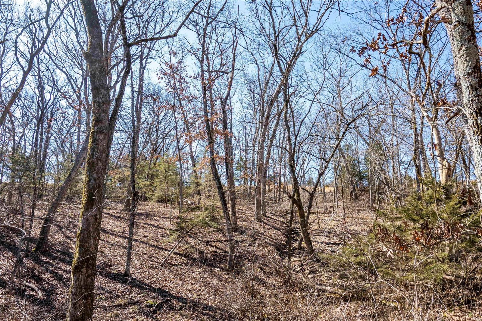 0 County Road 701 Bland, MO 65014 - Photo 37 of 52