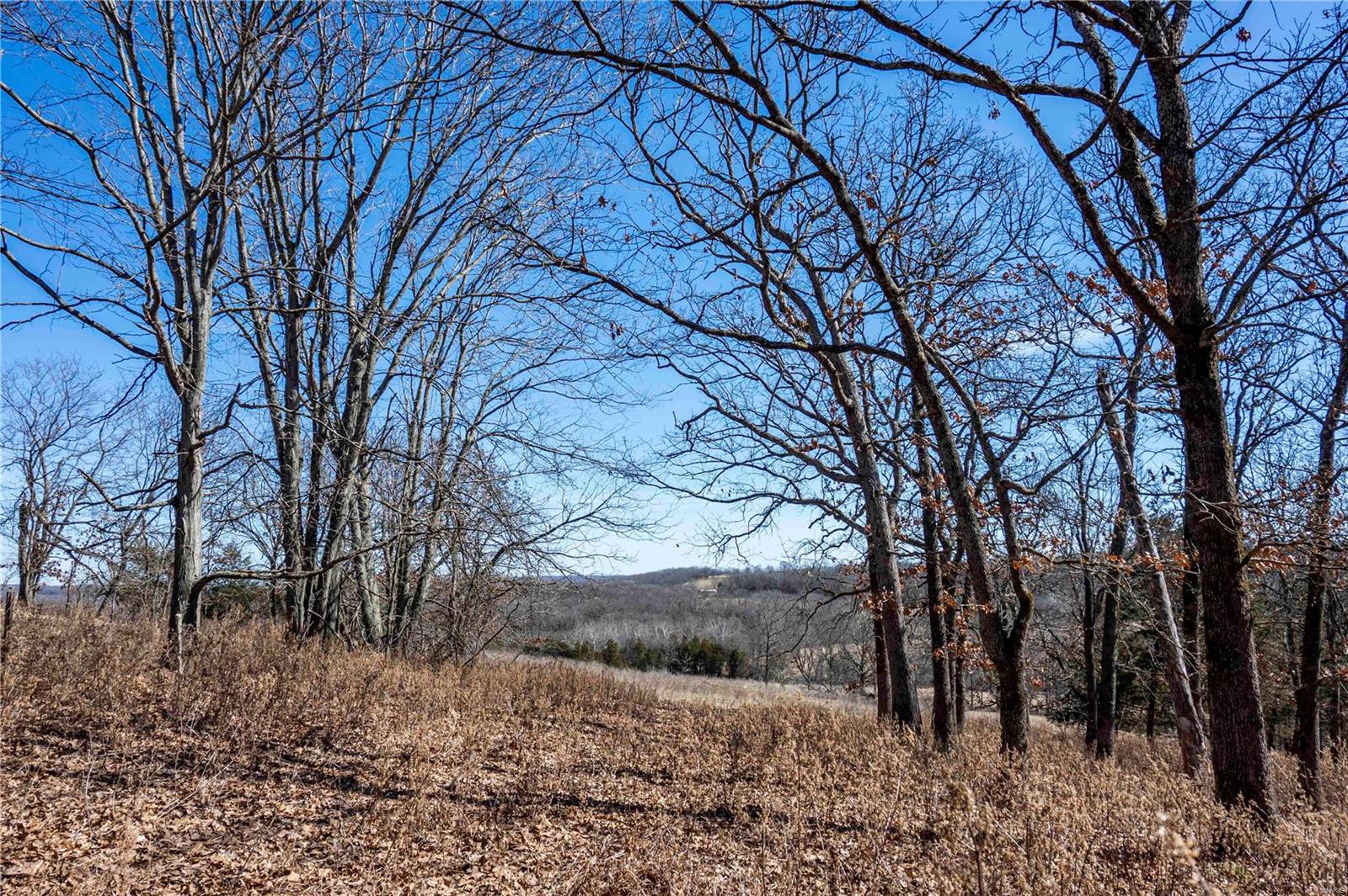 0 County Road 701 Bland, MO 65014 - Photo 38 of 52