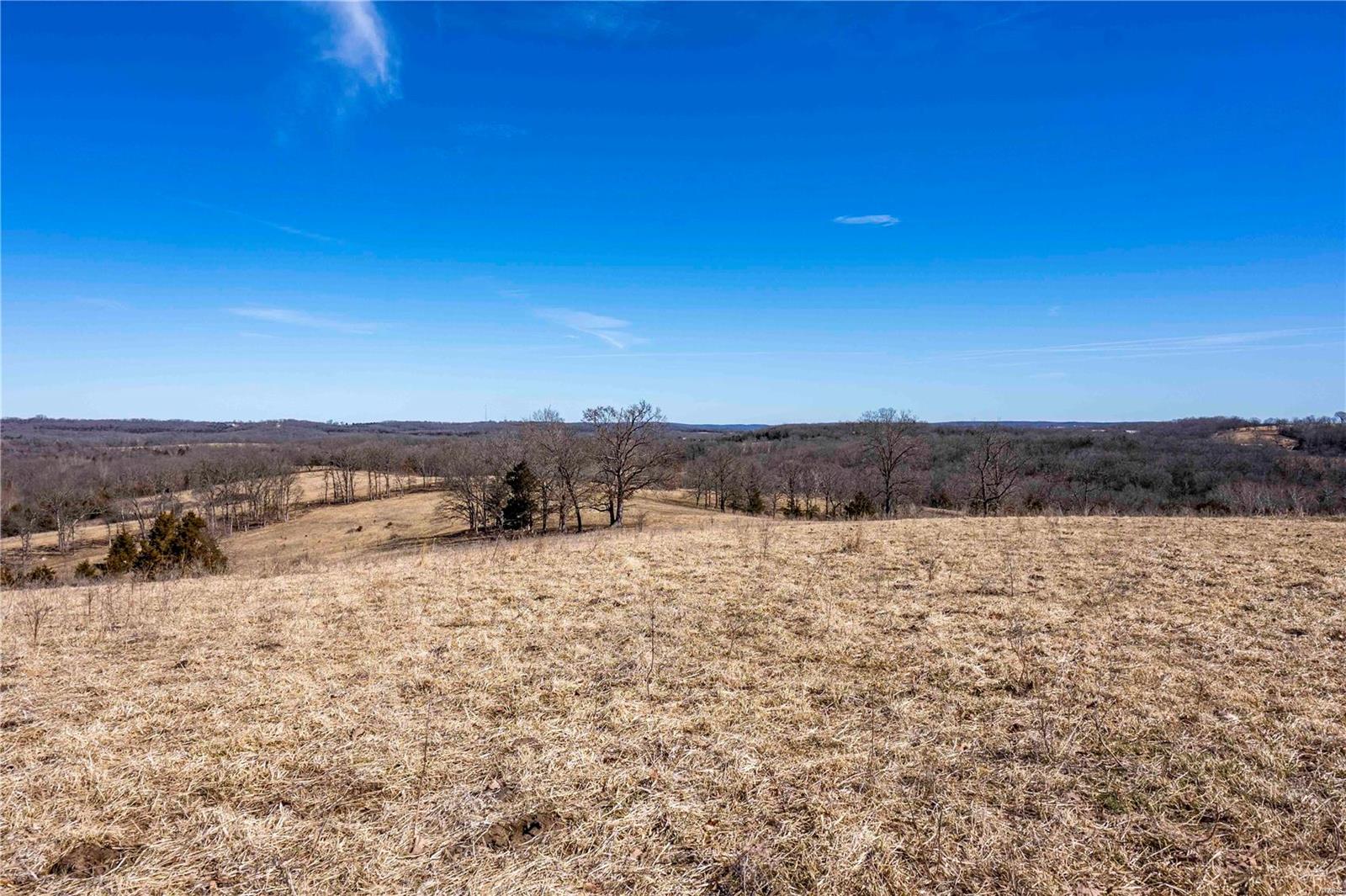 0 County Road 701 Bland, MO 65014 - Photo 4 of 52