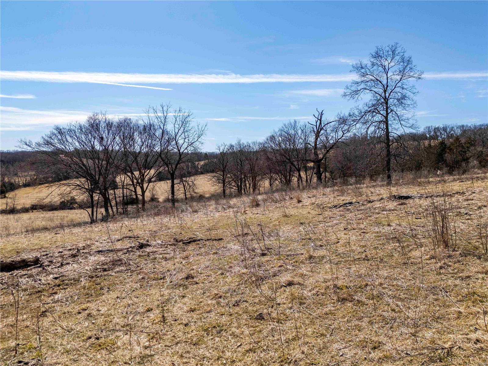 0 County Road 701 Bland, MO 65014 - Photo 45 of 52