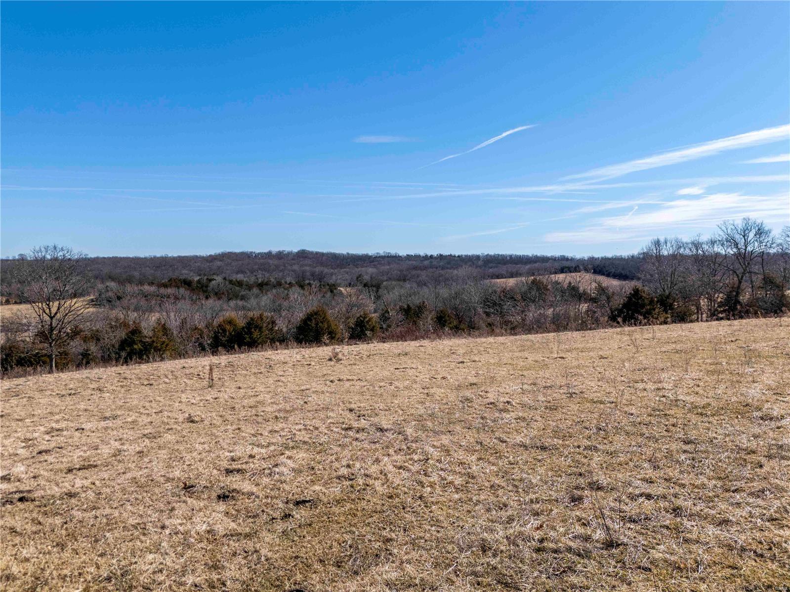 0 County Road 701 Bland, MO 65014 - Photo 47 of 52