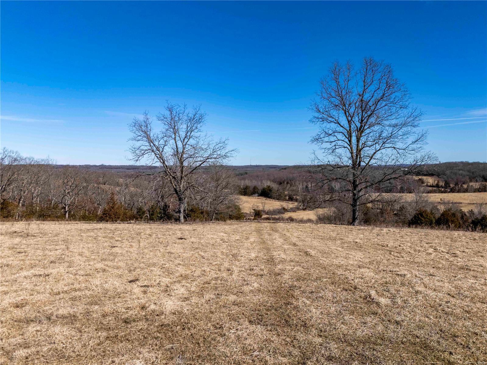 0 County Road 701 Bland, MO 65014 - Photo 48 of 52