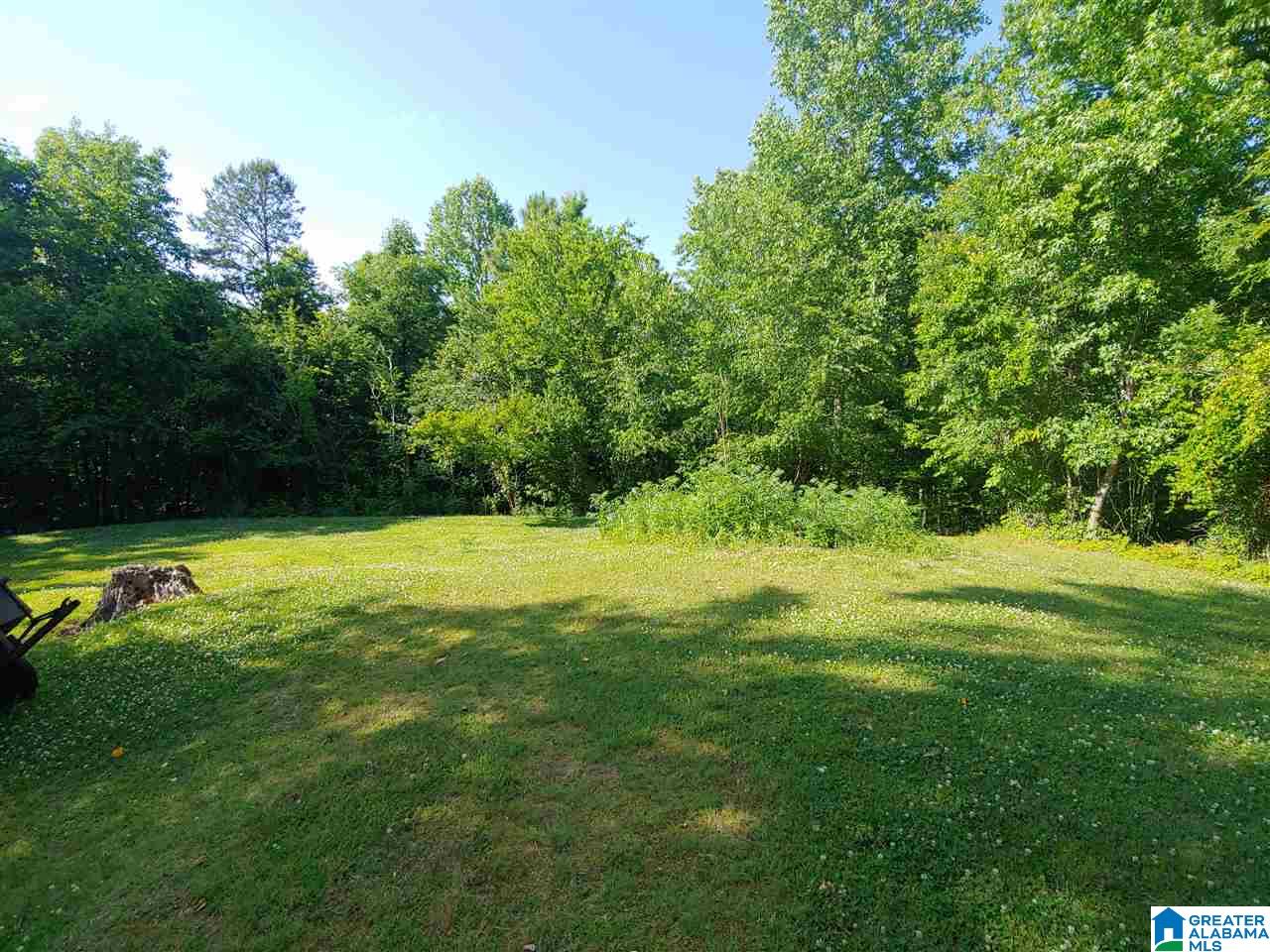 3332 Sycamore Cemetery Road Talladega, AL 35160 - Photo 3 of 19