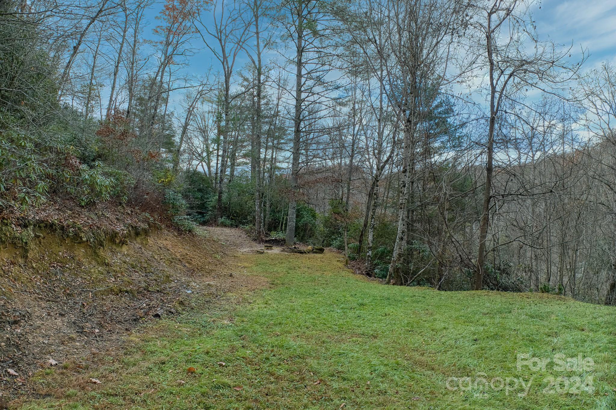 80 Viola Lane Balsam Grove, NC 28708 - Photo 39 of 48 Gallery Image 39