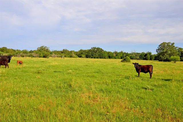 a view of a lake with a yard