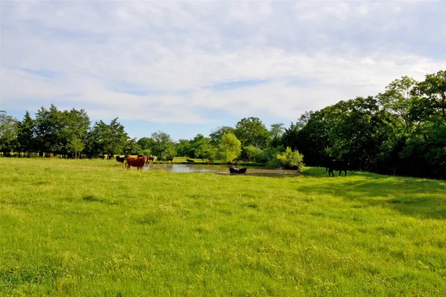 a view of an outdoor space and a yard