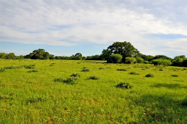 a view of yard with ocean view