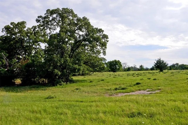a view of field with grass and trees
