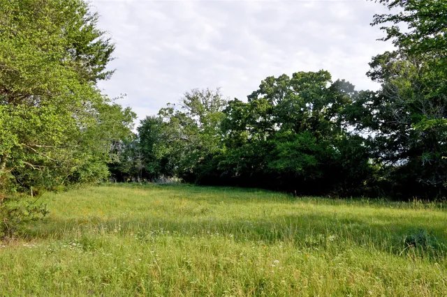 a view of a green yard