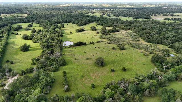 an aerial view of residential houses with outdoor space and trees