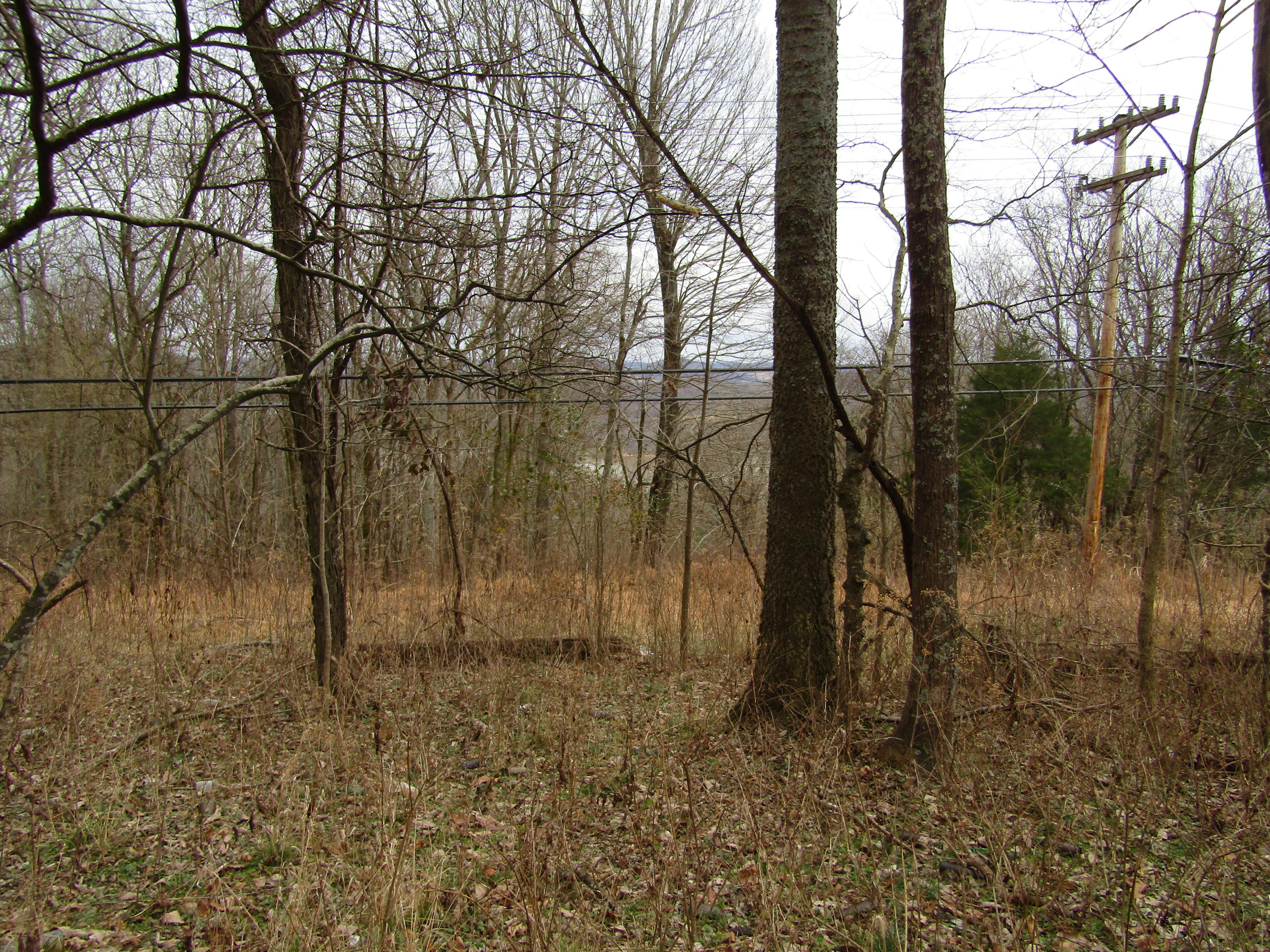 .23-ac Turkey Creek Road Carthage, TN 37030 - Photo 1 of 14 IMG_1165