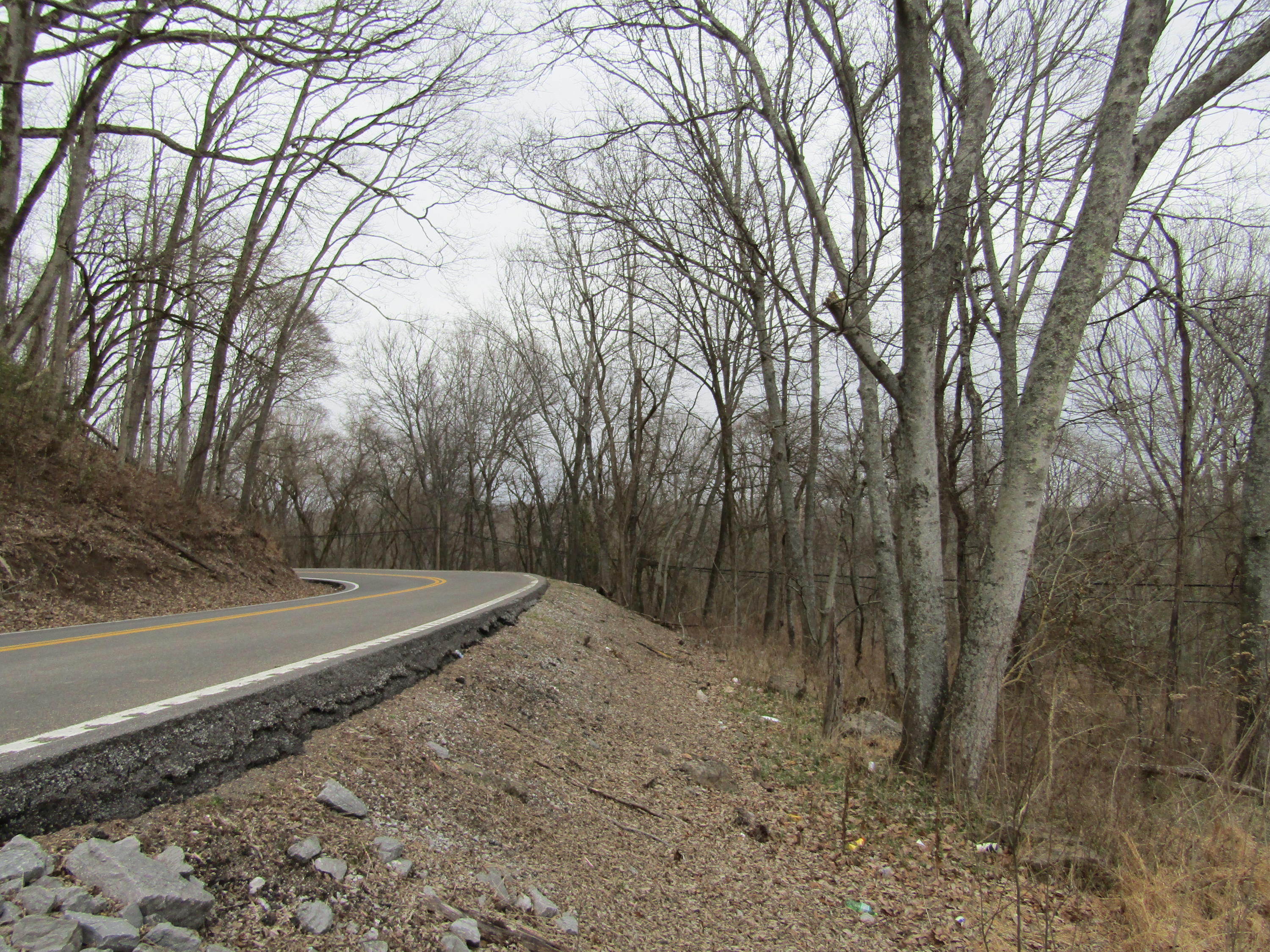 .23-ac Turkey Creek Road Carthage, TN 37030 - Photo 2 of 14 IMG_1160