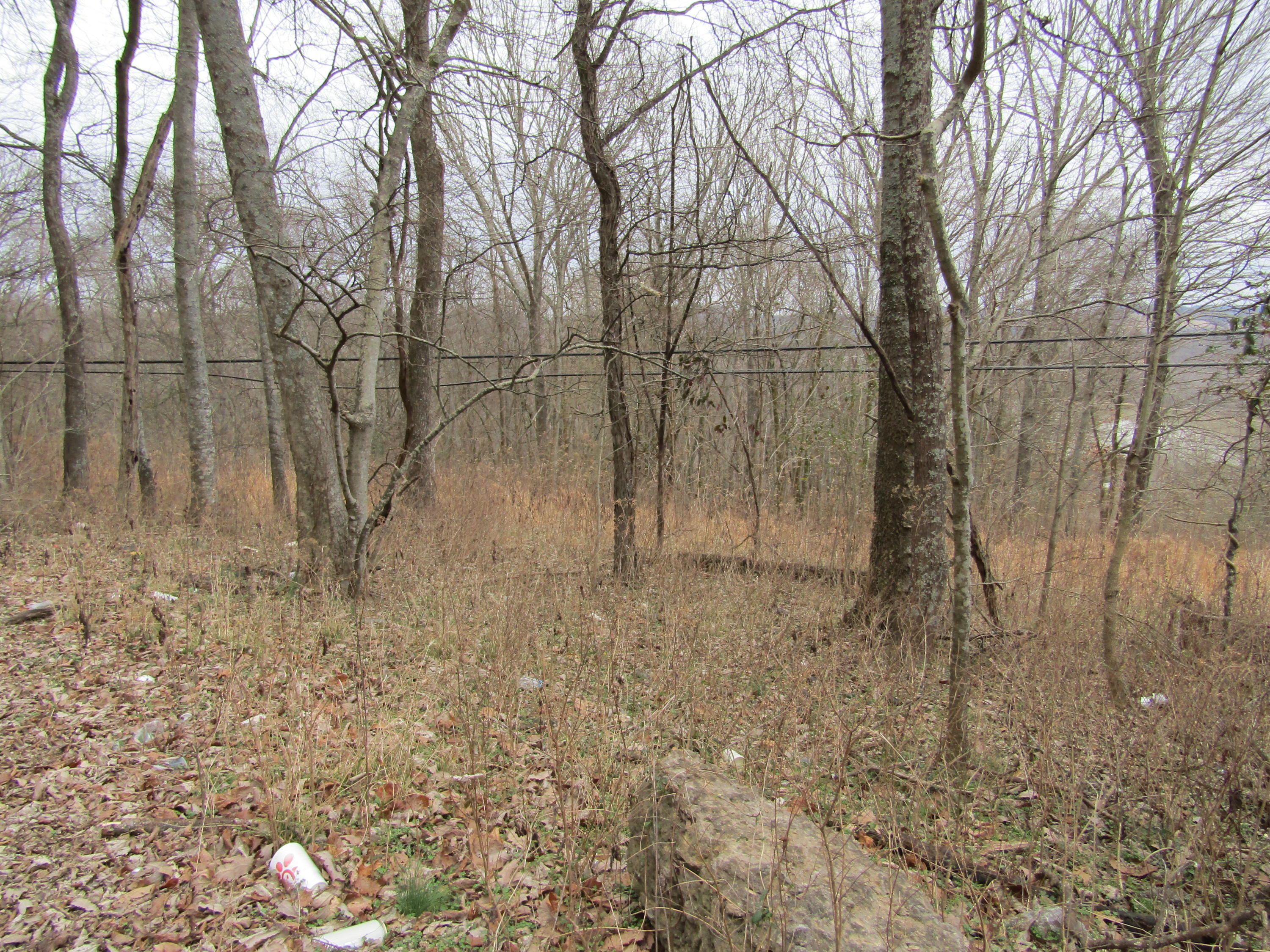 .23-ac Turkey Creek Road Carthage, TN 37030 - Photo 3 of 14 IMG_1161