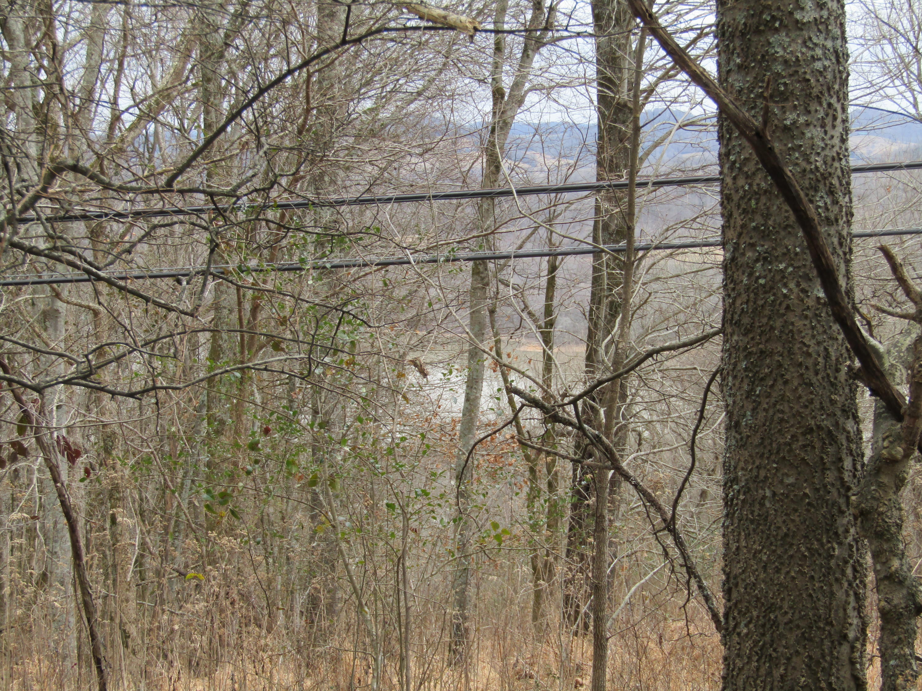 .23-ac Turkey Creek Road Carthage, TN 37030 - Photo 4 of 14 IMG_1163