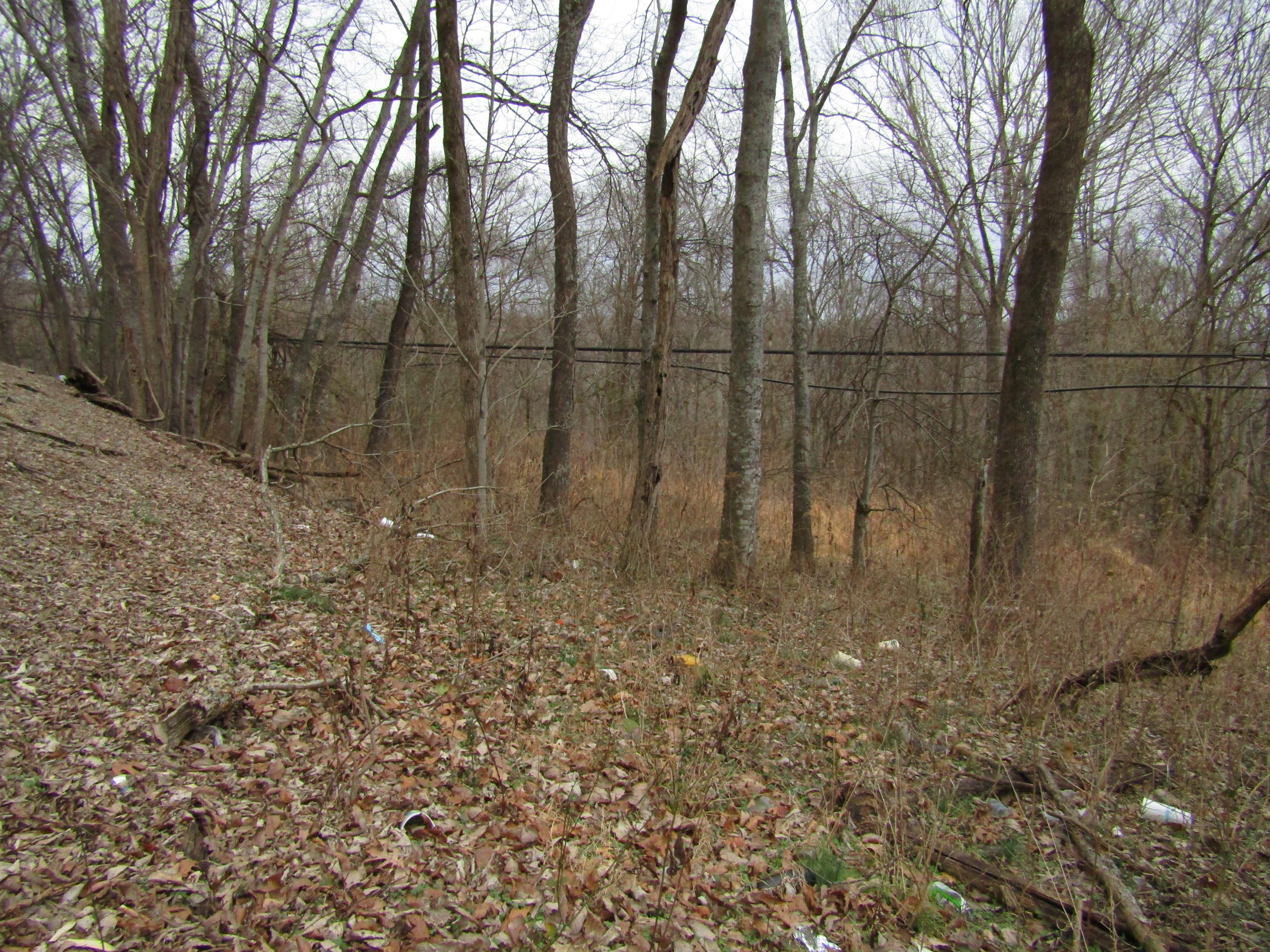 .23-ac Turkey Creek Road Carthage, TN 37030 - Photo 6 of 14 IMG_1166