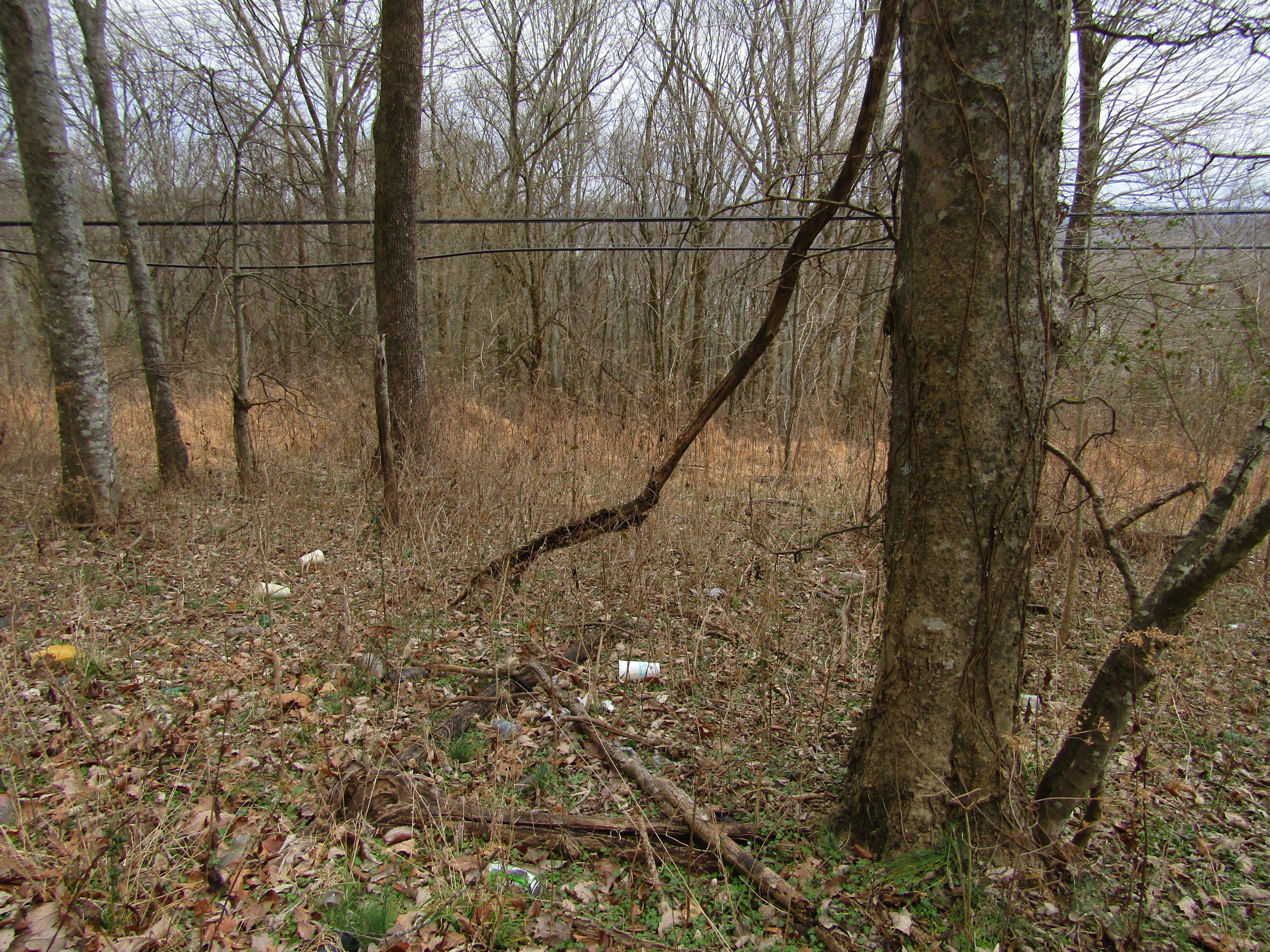 .23-ac Turkey Creek Road Carthage, TN 37030 - Photo 7 of 14 IMG_1167